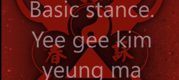 Basic Stance. Yee gee Kim Yeung Ma
