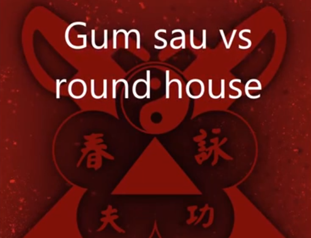 Wing Chun gum sau vs roundhouse kick