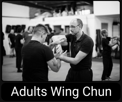 Adult Wing Chun Kung Fu for Dudley and Halesowen