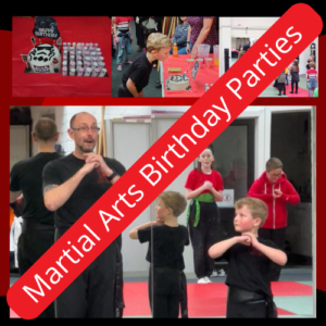Martial Arts Birthday parties halesowen