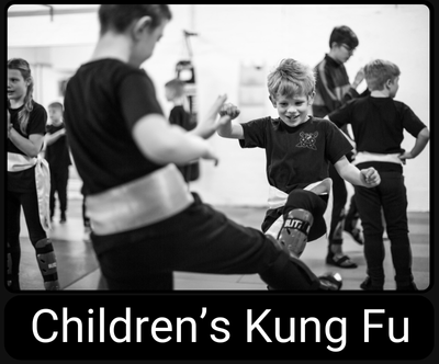 Childrens Martial arts classes for Dudley and Halesowen