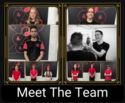 Meet the Wing chun kung fu in Halesowen team