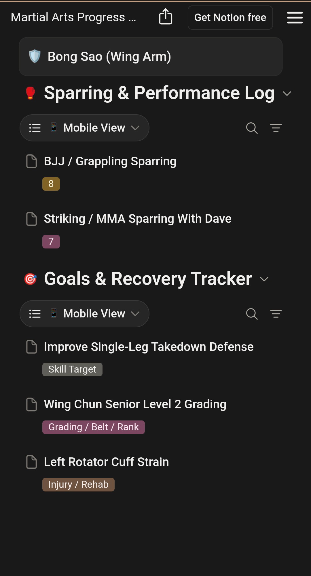 Martial Arts Progress Hub (Notion Template) - Image 6